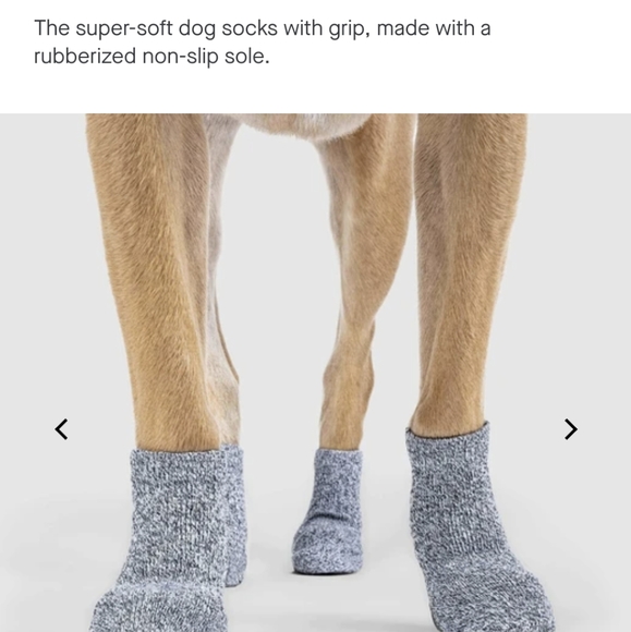 Canada Pooch The Basic Sock Size S - Picture 7 of 9